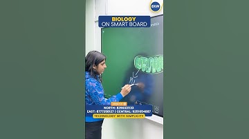 Interactive Smart Board Price | Budget AI Smart Board | Cheapest Interactive Flat Panel 🔥