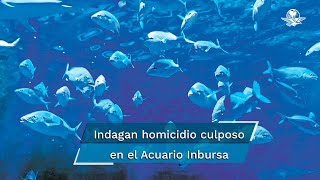 La Fiscal&iacute;a General de Justicia de la Ciudad de M&eacute;xico inform&oacute; que inici&oacute; una carpeta de investigaci&oacute;n tras la muerte de una trabajadora en el acuario Inbursa