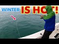 Cold rainy offshore fishing was on fire