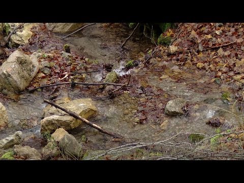 Гари во битка со институциите - при извор ќе останеме жедни и без вода