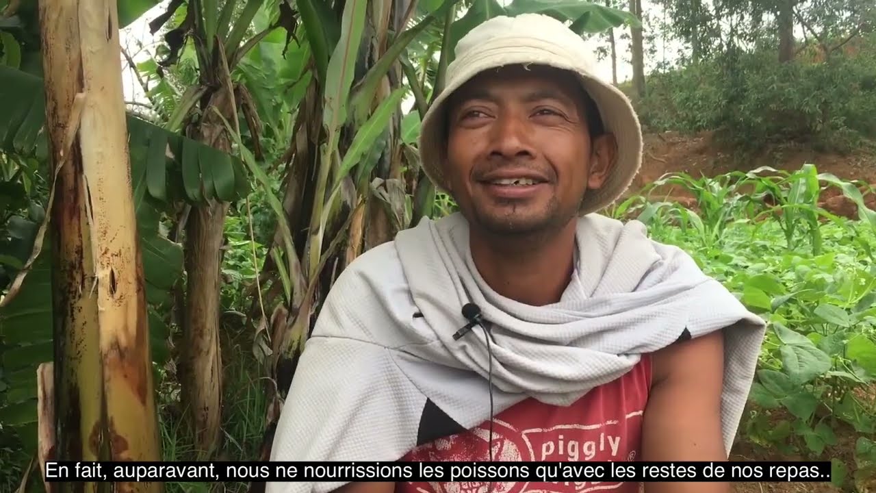 Formation à la pisciculture  - Zone Est