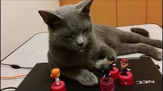 PC使わせてくれないから『モー娘攻め』をしかける(概要欄に説明あり)