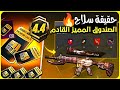 حقيقة امفور الرحالة في الصندوق المميز القادم