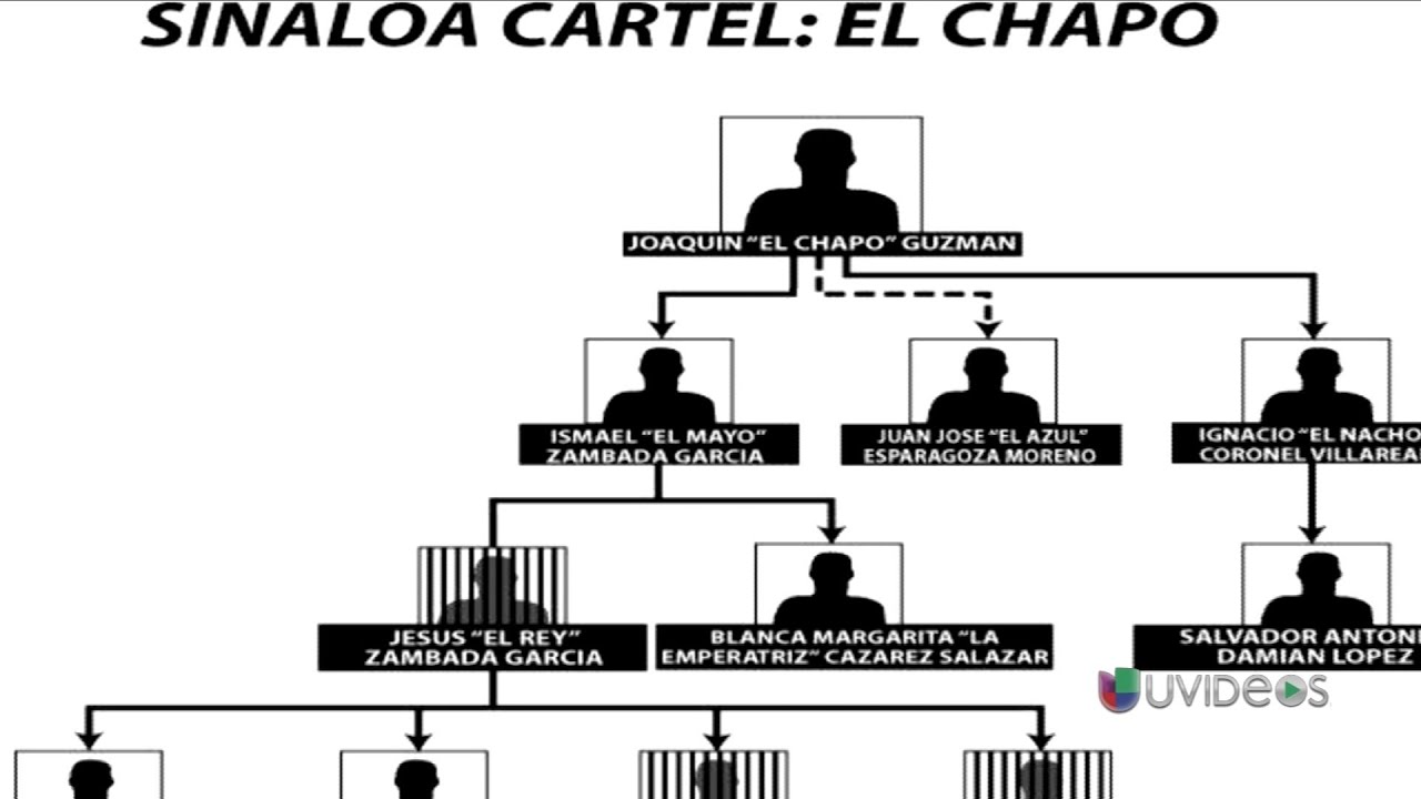 Sinaloa Cartel Ranks Structure