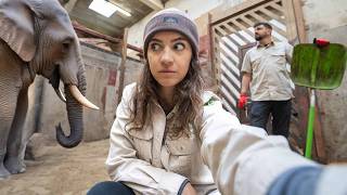 327. Pracujemy w warszawskim ZOO 🦍