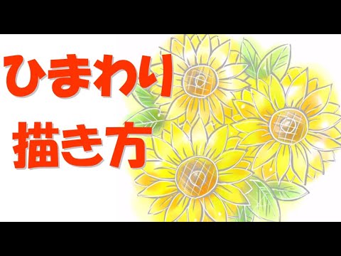 ひまわりの書き方 簡単 向日葵のイラストの描き方講座 コツ Youtube