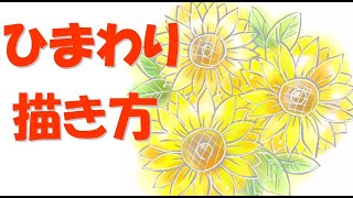 ひまわりの書き方 簡単 向日葵のイラストの描き方講座 コツ Youtube