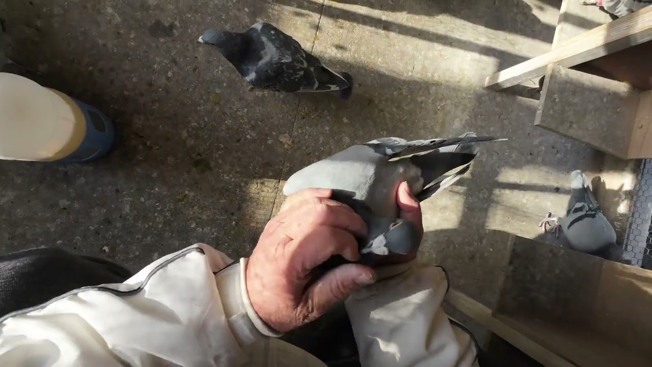 夕方から餌を変えました