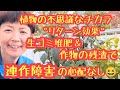 作物の残渣は宝物！秋茄子の残渣＋生ゴミ堆肥で不思議なチカラ “リターン効果”を発揮！連作障害の心配は要りません😆