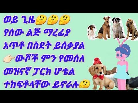 ቪዲዮ: ፓርክ-ሆቴል 