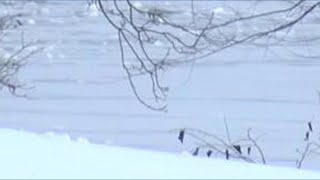 Toddler dies after being pulled from icy pond in Henrico County