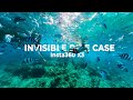 Insta360 X3 Invisible Dive Case | Best underwater camera 2023