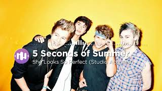 5 Seconds of Summer - She Looks So Perfect (Studio Acapella)