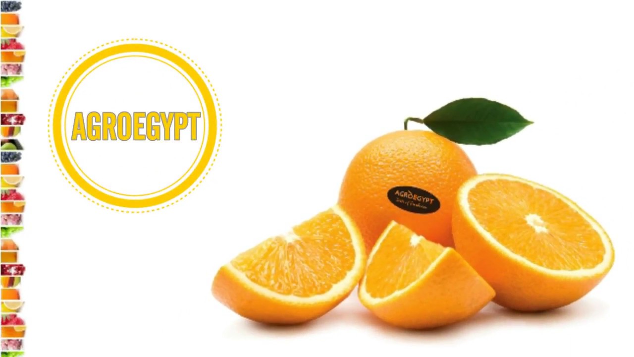 AGROEGYPT Egypt 2018