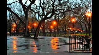 Sonic Saturation - Sonic Saturation