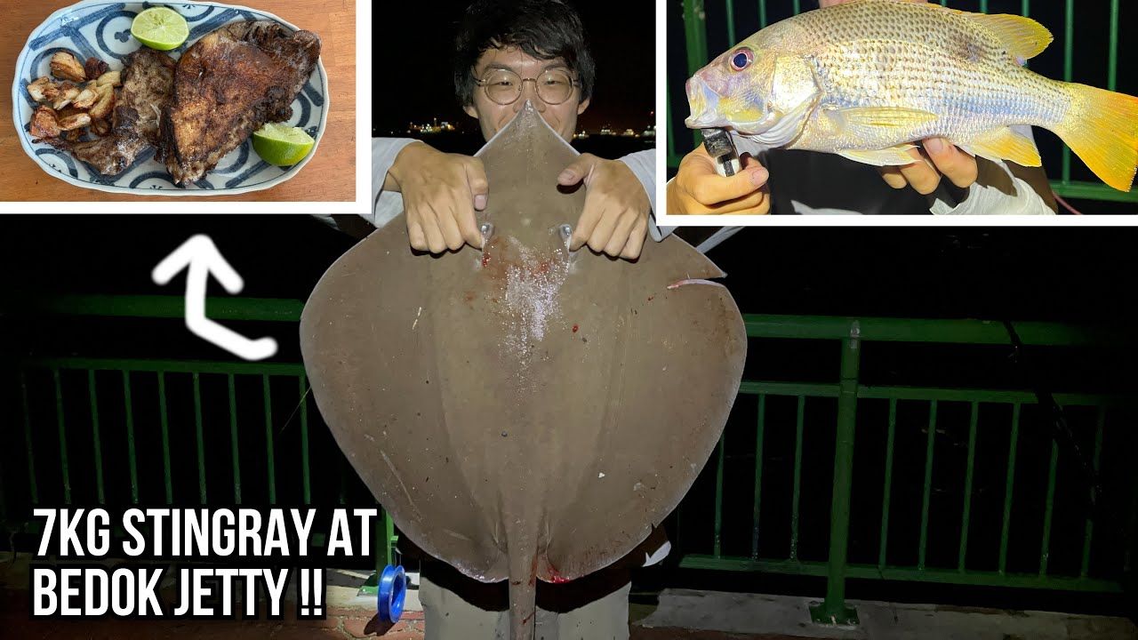 8 KG STINGRAY and Snapper!! Butter fried Stingray Bedok Jetty Fishing YouTube