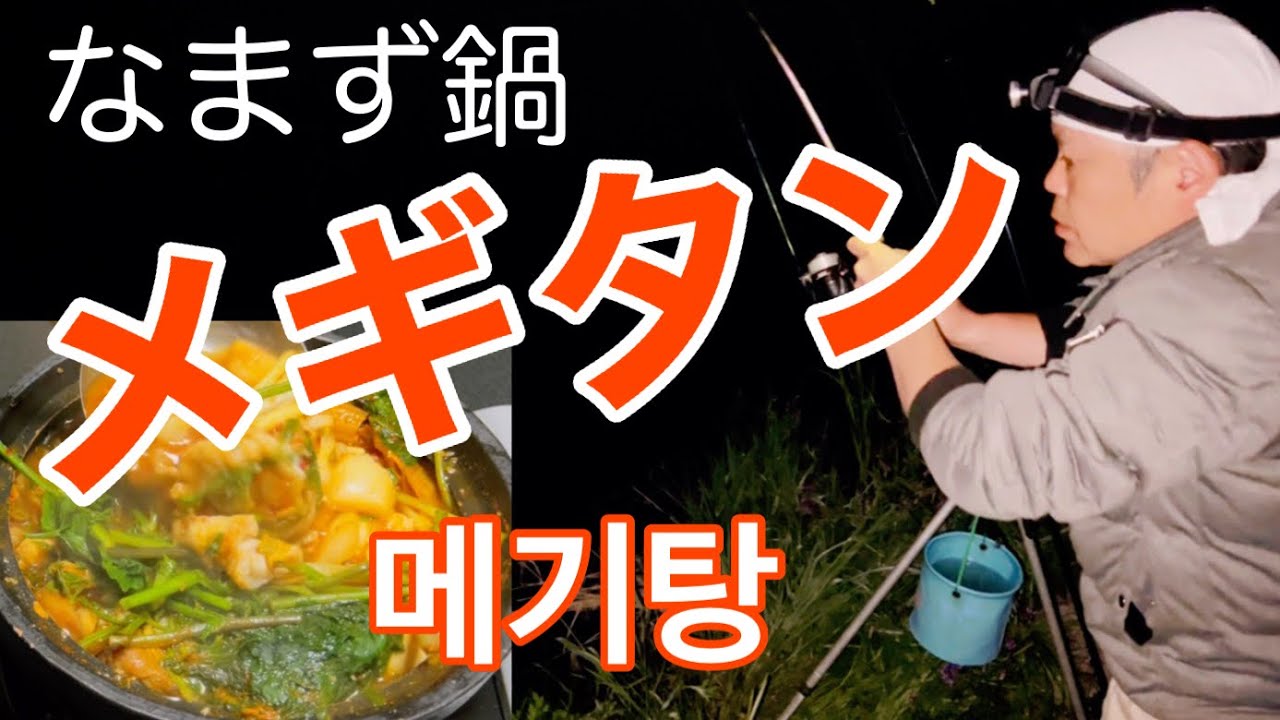 なまず鍋 釣ったナマズの刺身がダメなら鯰のしゃぶしゃぶでどうだ メギタンならバッチリ Youtube