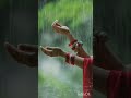 Rain Enjoying , Digital Entertainment , Digital & Unique Platforms , Digital Marketing @digital1965