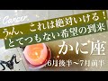 かに座♋️2026年6月後半〜7月前半🌝涙の夜明け、遂に見えた大きな希望！扉が開くその先の世界、喜びの鐘が鳴る