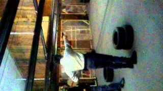 MOV00419.MP4