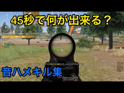 【荒野行動】『M4A1＆SR』 45秒で何が出来る？【荒野キル集】『M4A1＆SR』