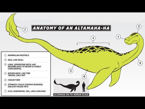 ha altamaha doamantrey related