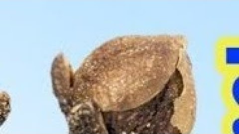 8 दिसंबर रविवार सप्तमी तिथि के दिन इस जगह फेंक देना 3 लौंग बनोगे.Pardeep Ji Mishra