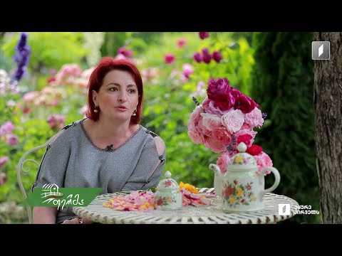 როგორი მოვლა სჭირდება ვარდს - რჩევები ლელა კაჭარავასგან, რომელმაც 300 სახეობის ვარდი გაახარა