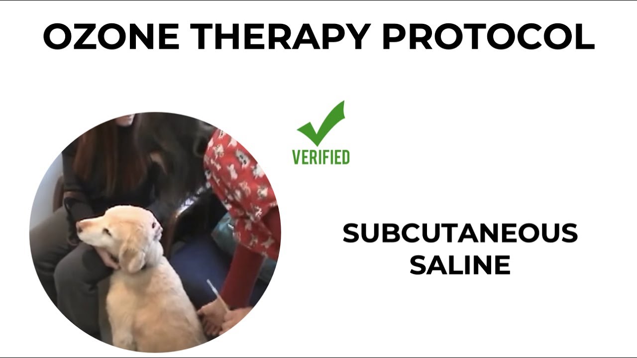 How to inject ozone saline into a dog YouTube