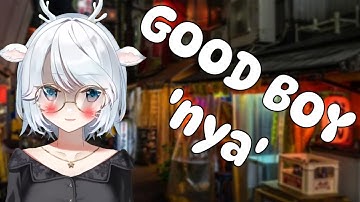 Iori meows for you [Phase Connect]