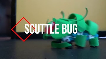 scuttle bug