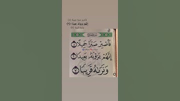 سورة المعارج #قرآن #قرآن_كريم #قران #قران_كريم #رمضانمبارك #اكسبلور #رمضانمبارك #دويتو #تيك_توك #حزن