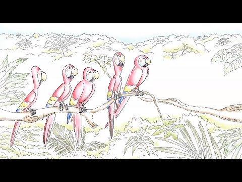 RB01_21_Red_Bull_Parrots_30sec_AT_1920x1080_WEB.mp4 - RB01_21_Red_Bull_Parrots_30sec_AT_1920x1080_WEB.mp4