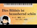 Dies Bildnis ist bezaubernd schön『Die Zauberflöte』 【リハーサル音源】オペラ『魔笛』より「なんと美しい絵姿」 W.A.Mozart Ten.タクト