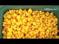 Jonestown duck race is underway#LDNews