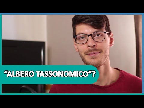 Video: Qual è la differenza tra categorizzare e classificare?