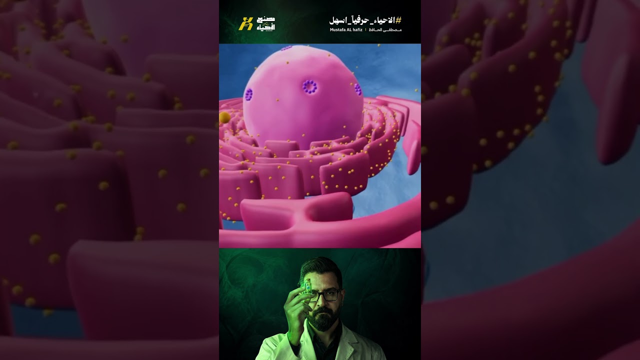 #مصطفى_الحافظ