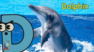 ABC Sea Animals song | +More Nursery Rhymes | Animals for Kids |#kids #abcd #abc #abcanimals