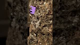 Amazing Ancient microlithic sculpted moldedpainted carved storystone