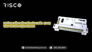 Hướng dẫn đấu nối cảm biến Bus vào tủ báo động RISCO
