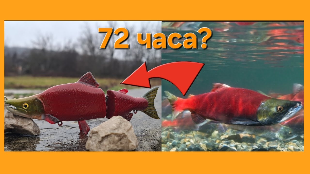 Приликата с Реални лица е възможна! Това са само лирически ГЕРОИ! | OnlyBuild