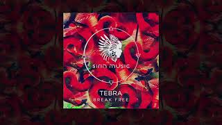 Tebra - Svest (Original Mix) Resimi