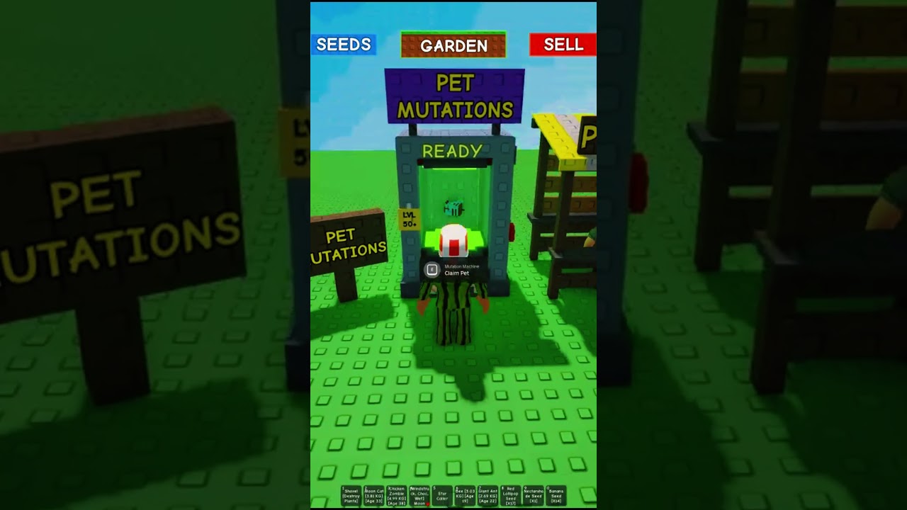 Grow a garden disco bee mutation  