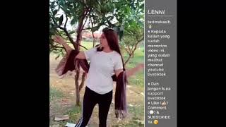 Download Lagu Janamerijana versi - Lenni tiktok / Kumpulan Video Livetiktok MP3