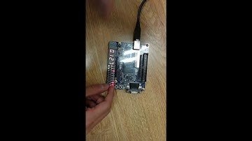 Reaction timer