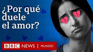 Cómo enamorarse y separarse cambian el cerebro | BBC Mundo