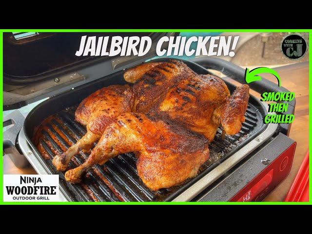 BBQ CHICKEN LEGS ON THE NINJA WOODFIRE OUTDOOR GRILL! Ninja Woodfire Grill  Recipes! 