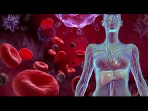 Video: Si ndikon anemia në trup?