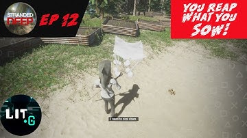 Which Farm Plot Is The Best In Stranded Deep? EP. 12 | You Reap What You Sow | Farming | Letsplay