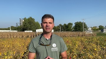 Effect of Cultural Practices on Soybean Seed Quality